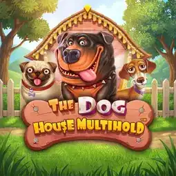 The Dog House Multihold game at Spinyoo Casino for United Kingdom players The Dog House Multihold game at Spinyoo Casino for United Kingdom players